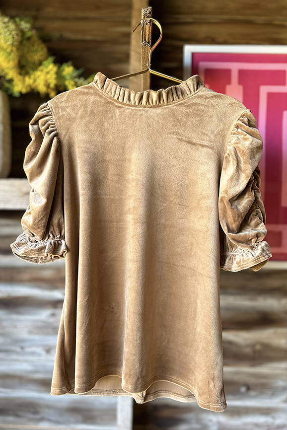 Ruffled Arm Velvet Top